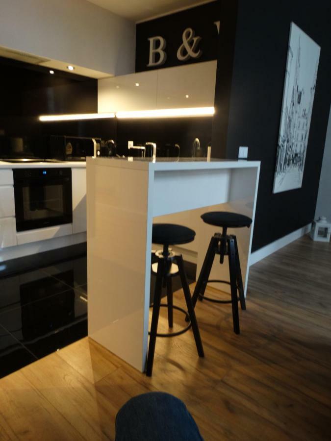 פוזנן Black&White Apartment- Wierzbowa 5 מראה חיצוני תמונה